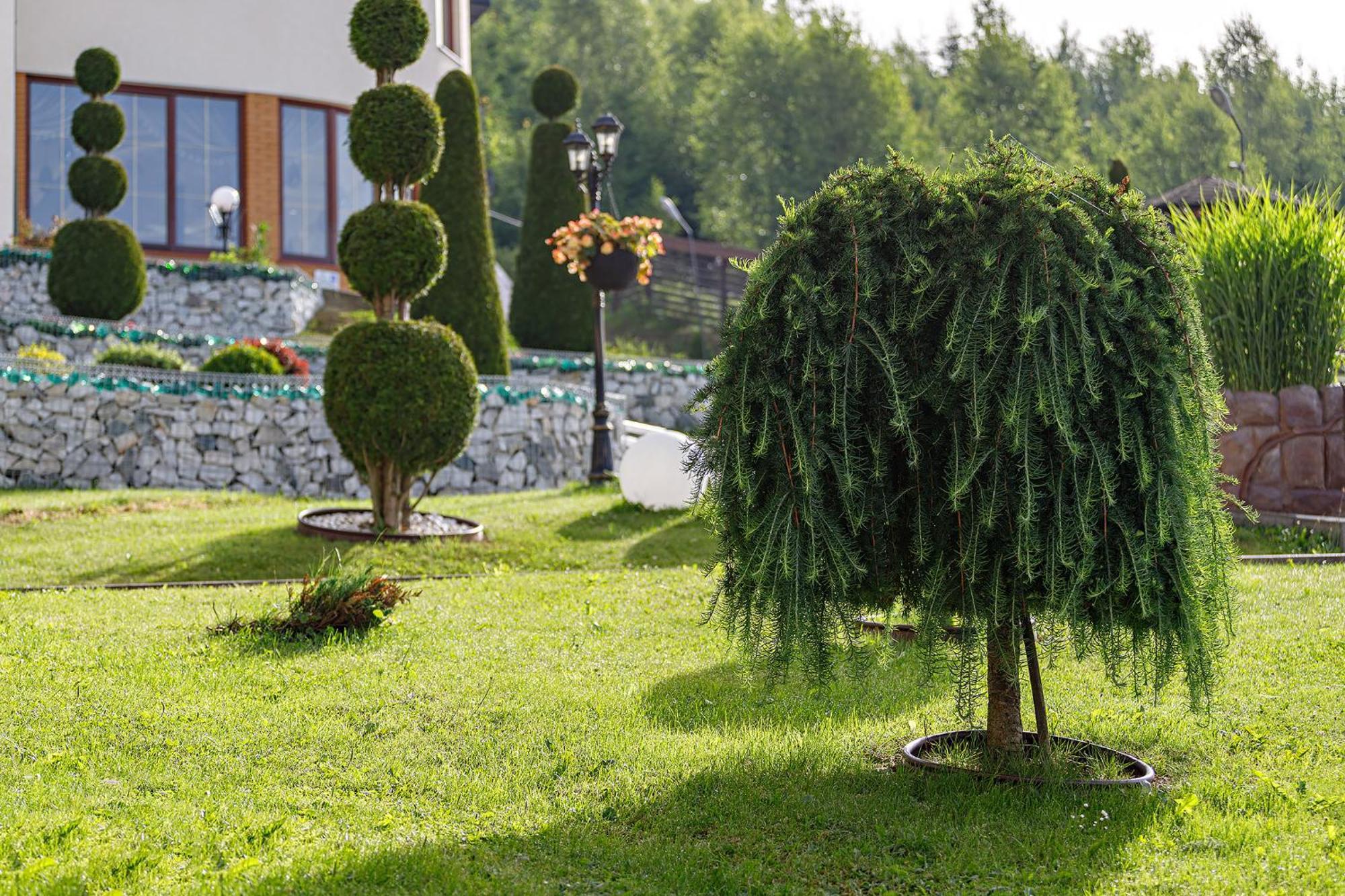 Hotel Podgorie Spa Μπούκοβελ Εξωτερικό φωτογραφία